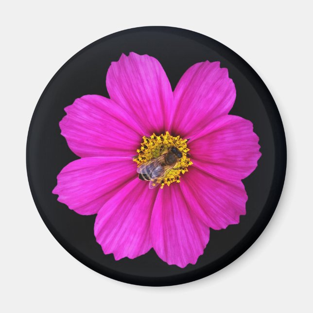 hårt arbetande bin magnet (Framsidan)