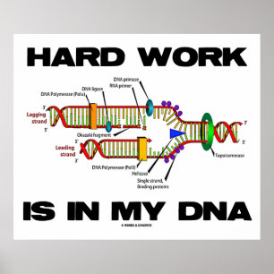 Hårt arbete finns i mitt DNA (DNA-replikering) Poster