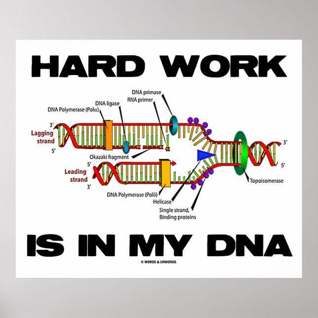 Hårt arbete finns i mitt DNA (DNA-replikering) Poster (Framsidan)