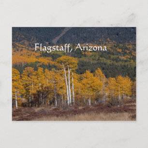 Hart Prairie Flagstaff, Arizona Vykort