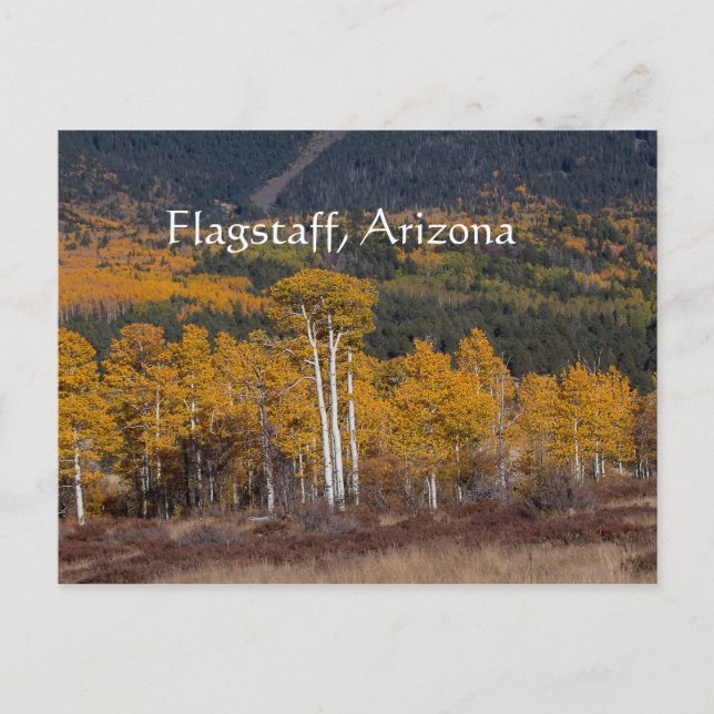 Hart Prairie Flagstaff, Arizona Vykort (Framsida)