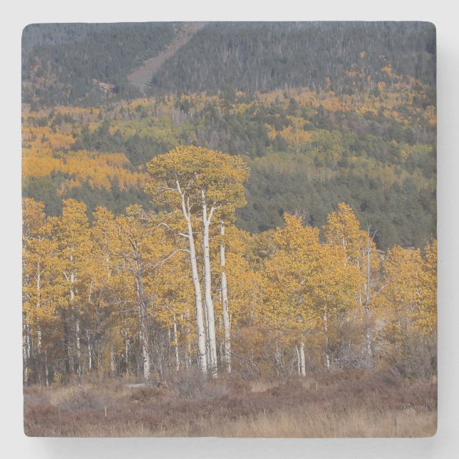 Hart Prairie Underlägg Sten (Framsidan)