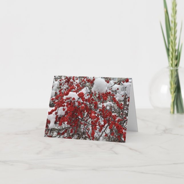 Hårt Snö på Röda berries-anteckningskort Tack Kort (Framsida)