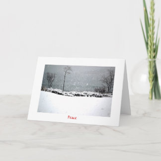 Hartley Mason Park - Helgdag Card - Peace Helgkort