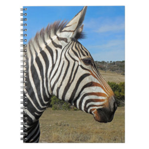 Hartmanns Zebra-profil vid Fossil Rim Anteckningsbok Med Spiral