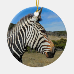 Hartmanns Zebra-profil vid Fossil Rim Julgransprydnad Keramik