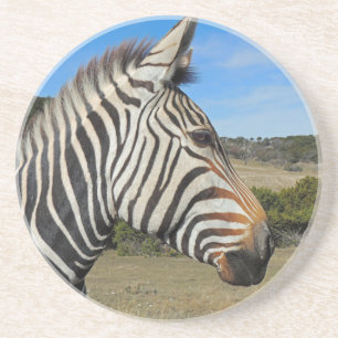 Hartmanns Zebra-profil vid Fossil Rim Underlägg Sandsten