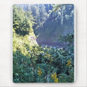Hart's Cove, Oregon Kusten Musmatta