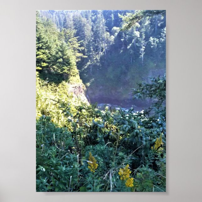 Hart's Cove, Oregon Kusten Poster (Framsidan)