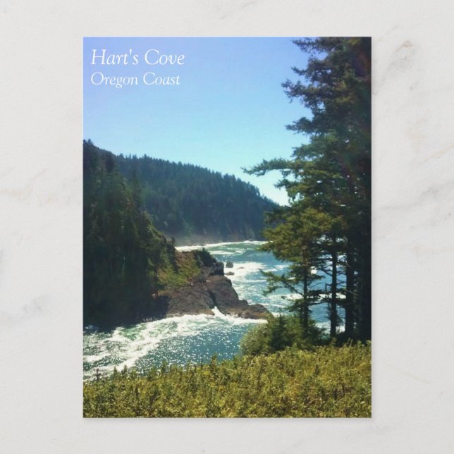Hart's Cove, Oregon-kusten Vykort (Framsida)
