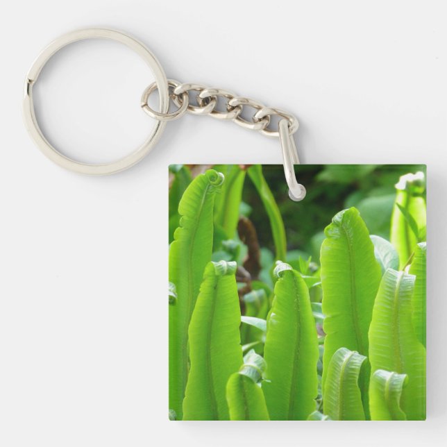 Hart's Tongue Fern Key Ring (Framsidan)