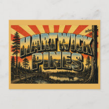 Hartwick Pines Michigan gammal urskog sjöar