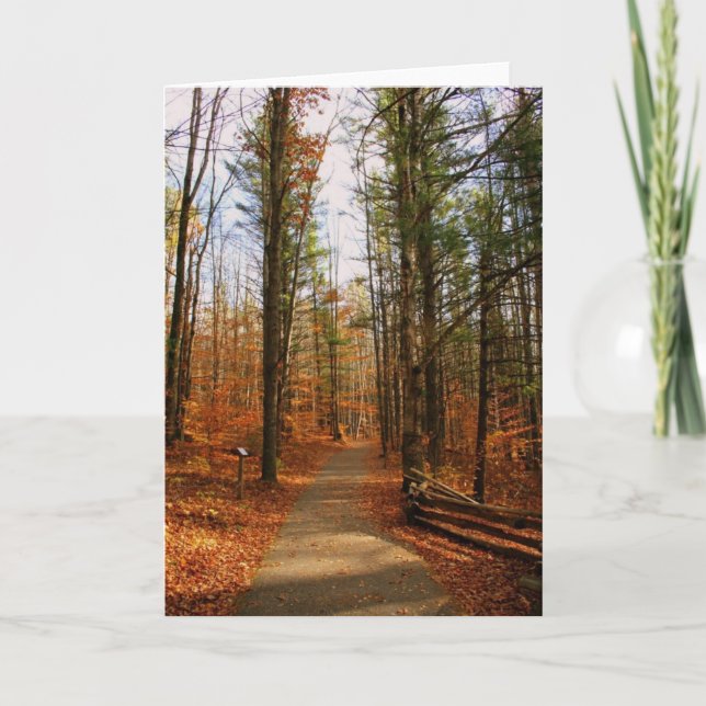 Hartwick sörjer delstatsparken i nedgång kort (Framsida)