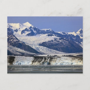 Harvard Glacier in College Fjord, Alaska 2 Vykort