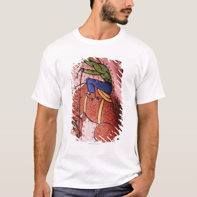 HÄRVASNÖ KOSTYM FÖR NUDIE T-SHIRT (Framsida)
