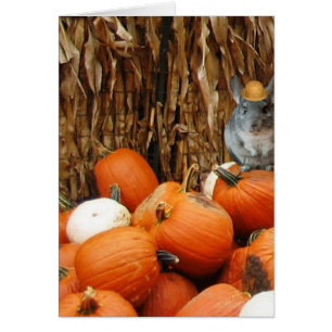 Harvest Chinchilla Hälsningskort