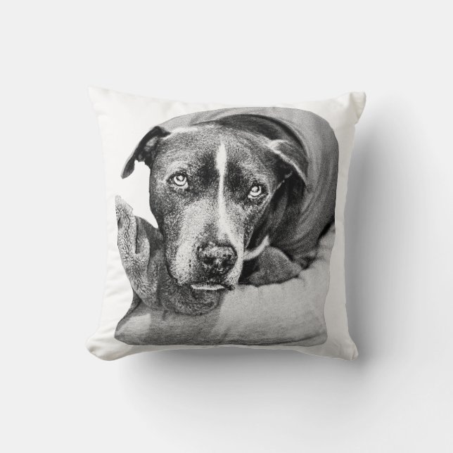 Harvest Evening Assion Kudde (Framsida)