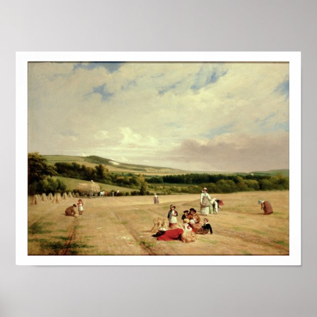 Harvest Fält (olja på canvas) Poster (Framsidan)