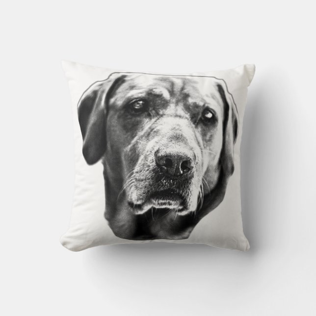 Harvest HEarth Gaze Kudde (Framsida)