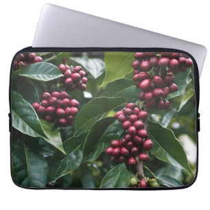 **"Harvest in Bloom: Coffee Beans on Träd"** Laptop Fodral