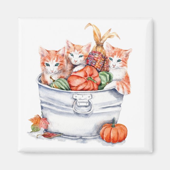 Harvest Kittens Magnet (Framsidan)
