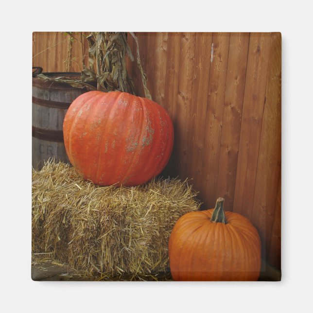 Harvest Magnet (Framsidan)