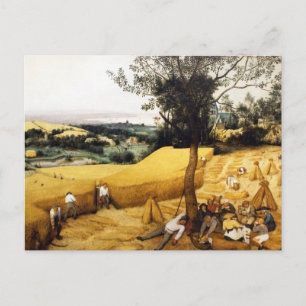 Harvest Maj - 1565 Vykort