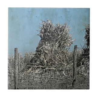 Harvest Maj Kakelplatta