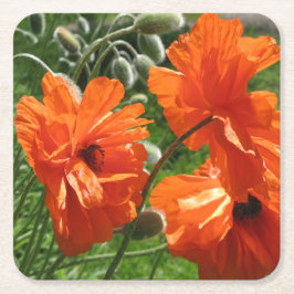 Harvest Måne Oriental Poppy Underlägg Papper Kvadrat