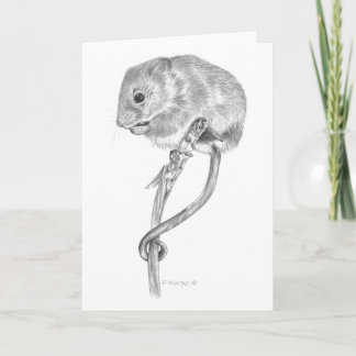 Harvest Mouse Kort