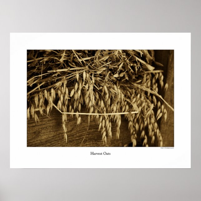 Harvest Oats Poster (Framsidan)