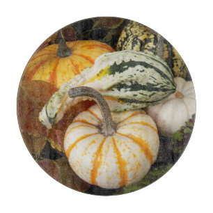 Harvest Pumpkins and Squash Hello Life Photo