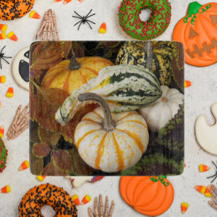Harvest Pumpkins and Squash Hello Life Photo