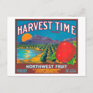 Harvest Time Apple Label - Yakima, WA Vykort