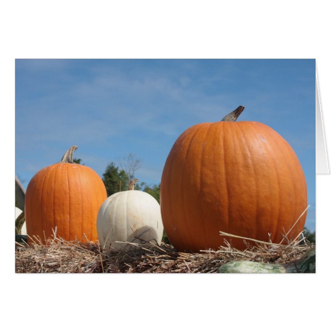 HARVEST TIME!!!! HÄLSNINGSKORT (Framsidan Horizontal)