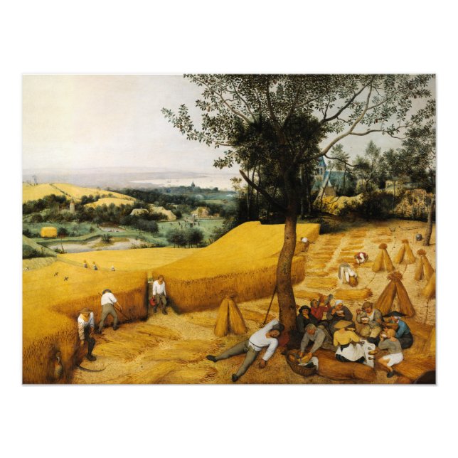 Harvesters av Pieter Bruegel the Elder Fototryck (Framsidan)