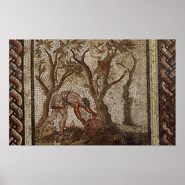 Harvesting Grapes, Saint-Romain-en-Gal Poster (Framsidan)