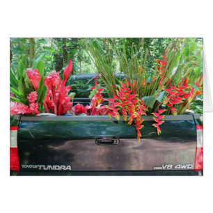Harvesting Hawaiian Tropicals Hälsningskort