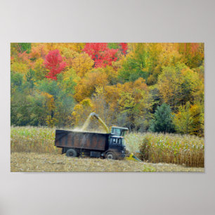 Harvesting Maj i Vermont Poster