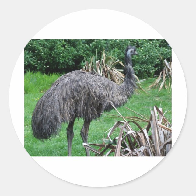 Harvey Runt Klistermärke (Framsida)