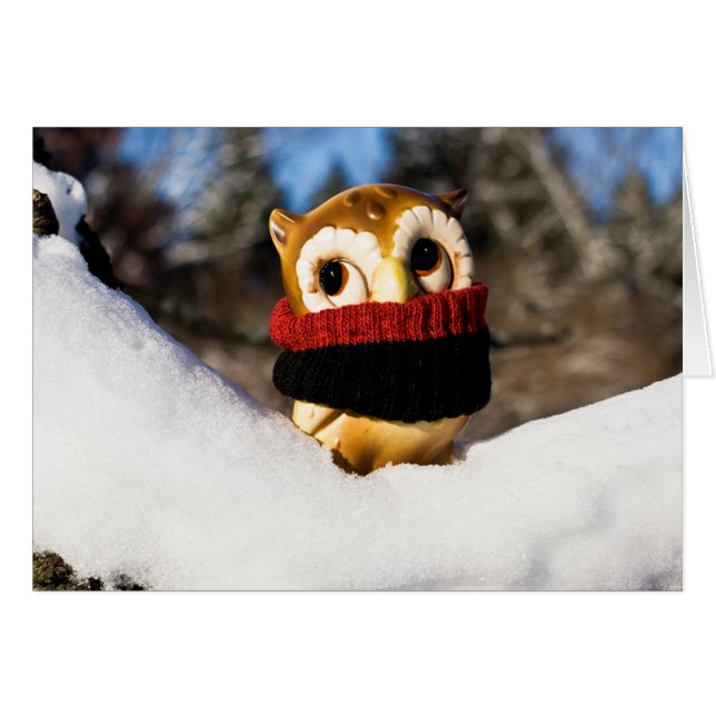 Harvey Uggla IV OBS Kort (Framsidan Horizontal)