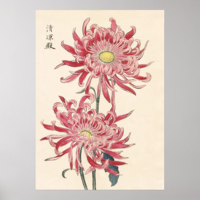 Hasegawa Chrysanthemum Wood Block Print #171 Poster (Framsidan)