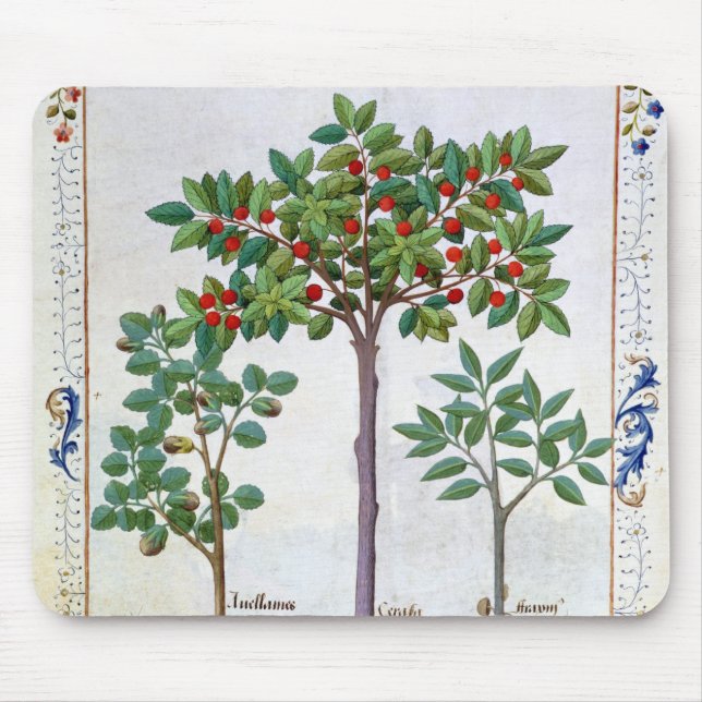 Hasselnöt Bush och körsbärsrött träd Musmatta (Framsidan)
