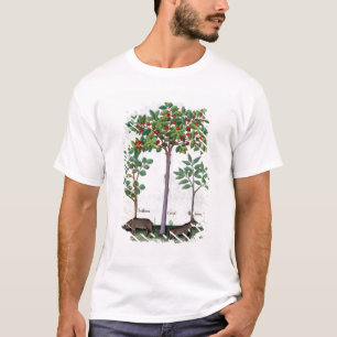 Hasselnöt Bush och körsbärsrött träd T-shirt
