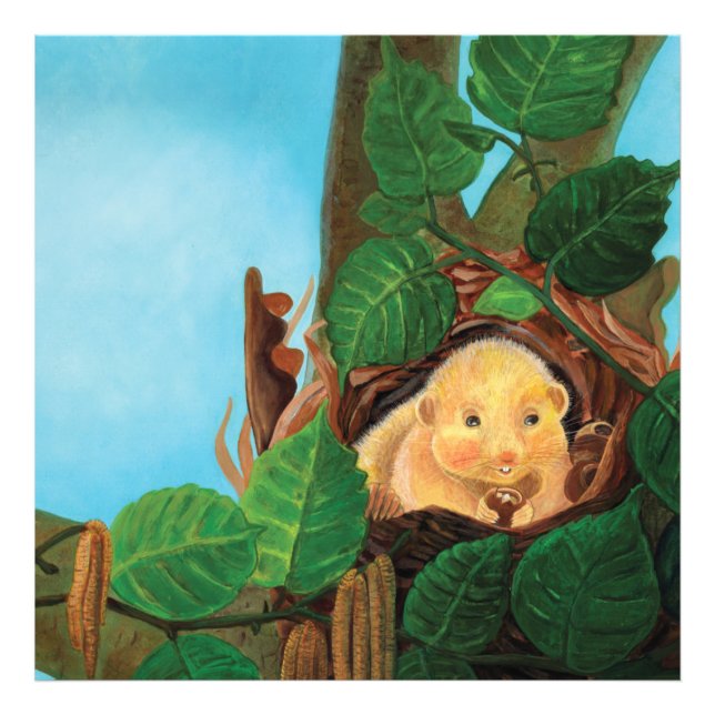 Hasselsovare som äter hasselnöt  fototryck (Framsidan)