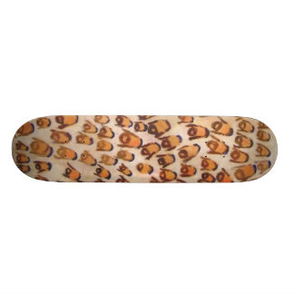 Hassid nation skateboard bräda 21,5 cm