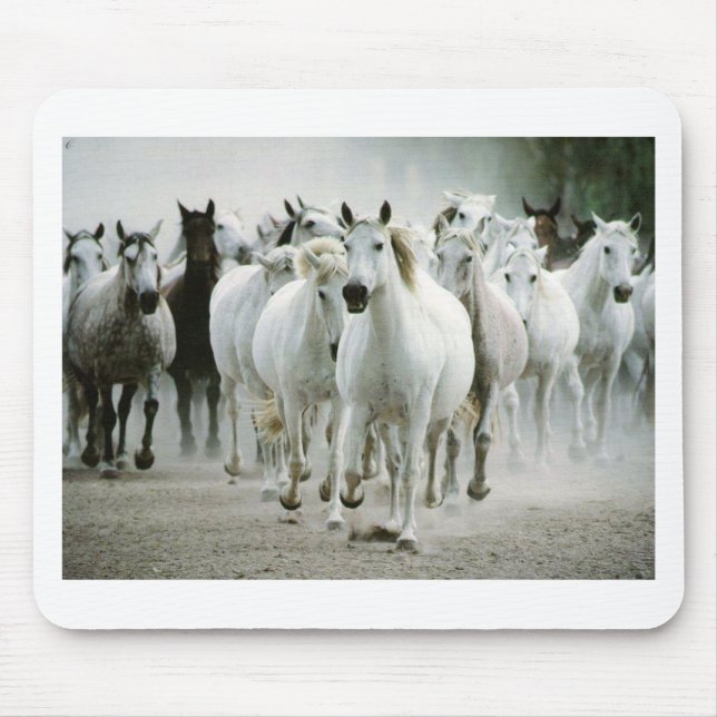Häst (1) musmatta (Framsidan)