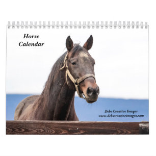 Häst 2026 kalender