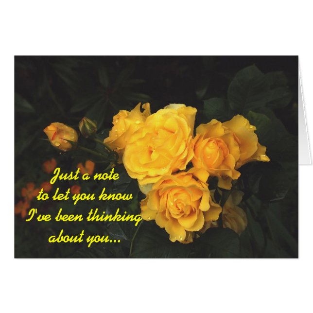 Häst A ** Hälsningskort (Framsidan Horizontal)