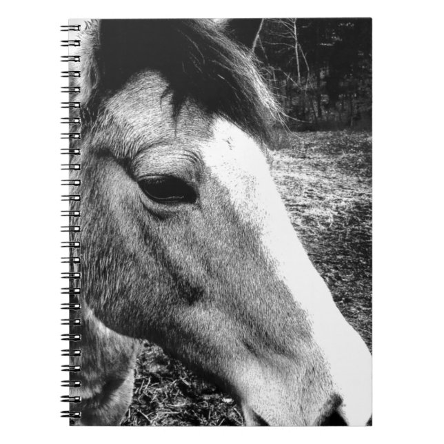Häst Anteckningsbok Med Spiral (Framsidan)